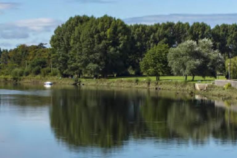 The river Suir