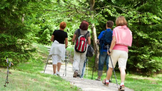 people walking with poles